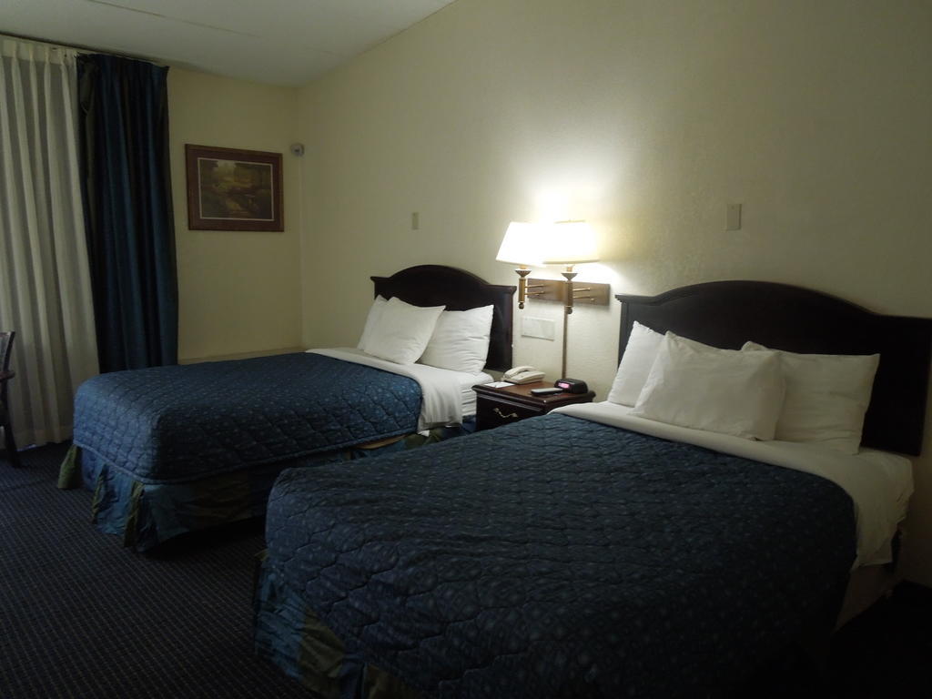 Motel 6-Philadelphia, Pa - Northeast Oda fotoğraf